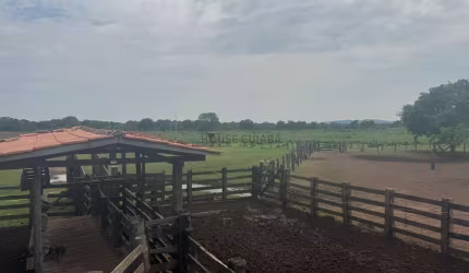 fazenda de 110 alqueires no município da cidade de Cocalinho