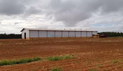 fazenda com área de 12 mil hectares com 8.600 hectares em lavoura