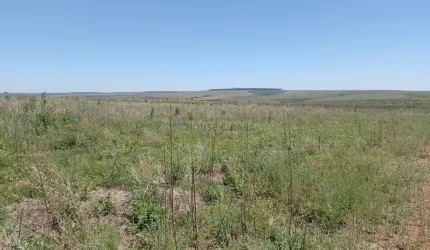 Área de terra de 1.132 hectares no Município de Cristalina