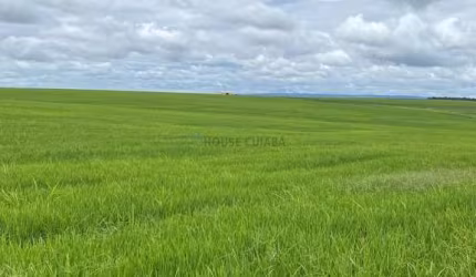 fazenda de 968 hectares na região do Município de Cristalina Goiás