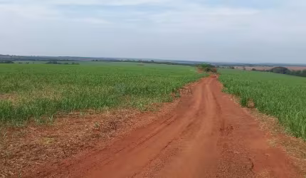 fazenda de 150 alqueires (360 hectares), com 100 alqueres plantado de cana em Ub