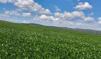 fazenda top de 2.044 alqueres (4.905,60 hectares), no estado de São Paulo SP
