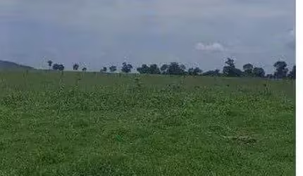 fazenda de 110 alqueres, no município de Jussara no estado de Goiás