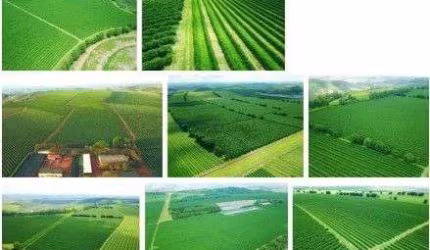 fazenda de Café sendo uma área de 2.653 Hectares, 548,14 Alqueires