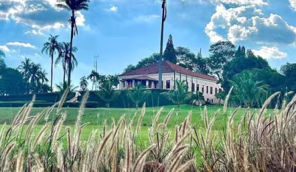 Propriedade rural de 182 alqueres (436,8 hectares), na região da cidade de Arara