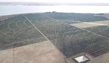 fazenda de 158,33 hectares na região da cidade de Votuporanga