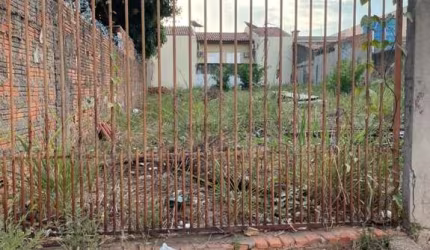 Terreno No Bairro Pico Do Amor