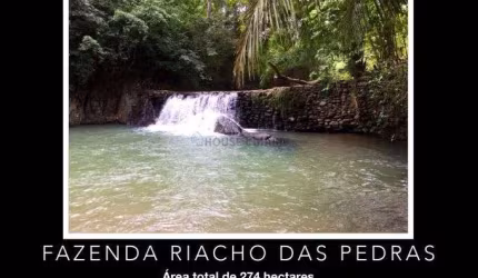 Fazenda na região de Acorizal - Comunidade Carumbé