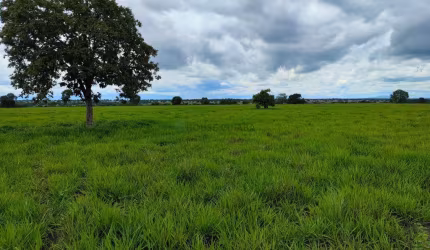 fazenda com dupla aptidão no Município a cidade de Araguapaz no estado de Goias
