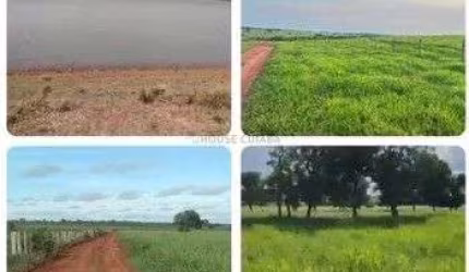fazenda de 45.000 hectares na região Oeste do estado do Mato grosso do sul