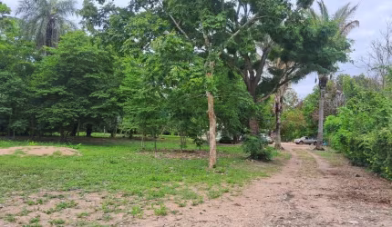 Chácara de 5 hectares na região da comunidade de São Jerônimo em Cuiabá MT.