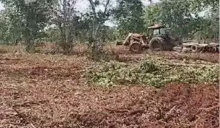 fazenda de 126 alqueires (302,4 Hectares) para dupla aptidão