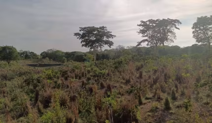 Sitio de 44 hectares 35 km de Cuiabá MT, na região da vila do Aguaçú no distrito