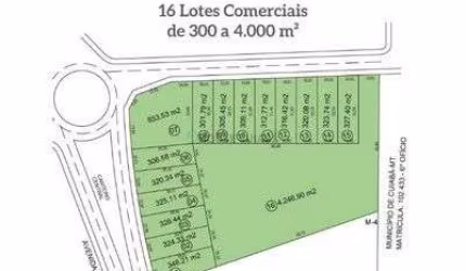 Terrenos Comercial Belvedere