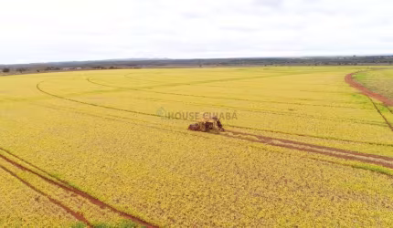 fazenda na região da cidade de Unaí no estado de Minas Gerais