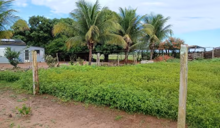 sitio de 14 hectares todo formado na região da cidade de Campo Verde no Mato Gro