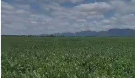 Fazenda de 2.396 hectares na região da cidade de Jangada no estado de Mato Gross