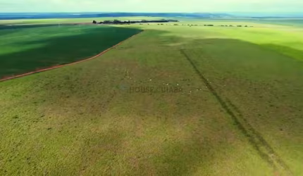 Fazenda de 723 hectares na região da cidade de Rondonópolis no estado de Mato Gr