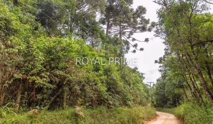 Chácara a venda na Estrada da Baitaca com potencial residencial e comercial com 20mil m2 - Quatro Barras-PR