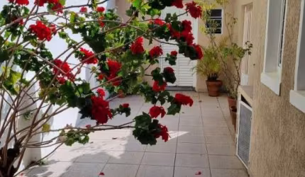 Casa com 3 dormitórios 3 vagas a venda na Vila Clementino