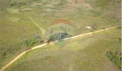 Terreno localizado entre Filgueiras e Coronel Pacheco, ótimo  para criação de gado, ou para loteamento, a 2 km do asfalto.