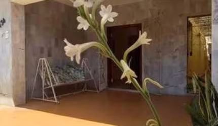 Casa 4 dormitórios ou + para Venda em Fortaleza, Montese, 5 dormitórios, 3 suítes, 5 banheiros, 1 vaga