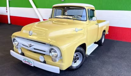 Ford f-100 raridade, toda em lata integra original de fábrica. 30 anos com mesmo dono!