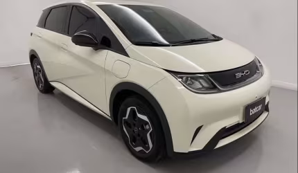 Byd dolphin