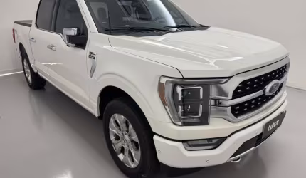 F-150 platinum 5.0 v8 gas