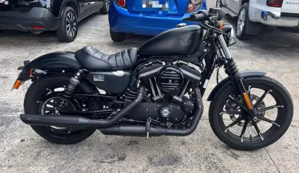 Harley-davidson xl 883n iron 2019/2020