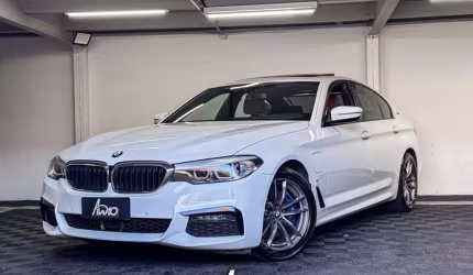 Bmw 530e 2019