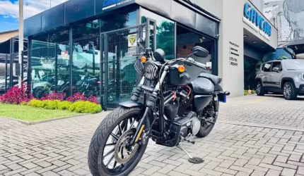 Harley-davidson xl883n 2015