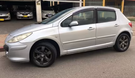 Peugeot 307 1.6 presence 16v flex 4p manual