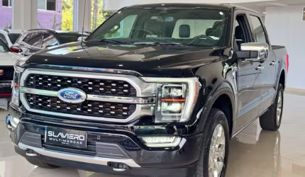 Ford f-150 platinum 4x4 5.0 v8