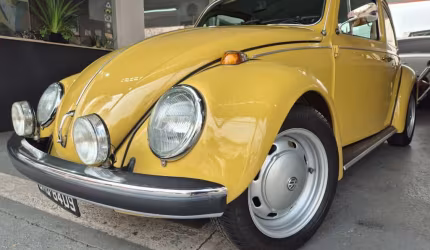 Volkswagen fusca gasolina manual