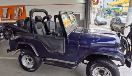 Ford jeep gasolina manual