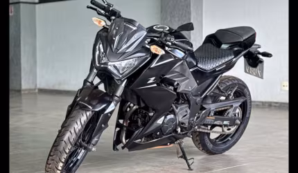 Kawasaki z 300