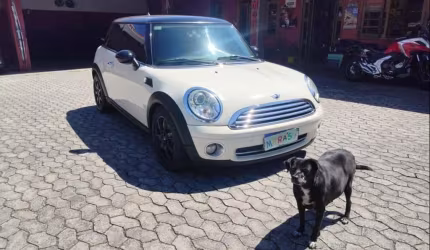 Mini cooper 2010