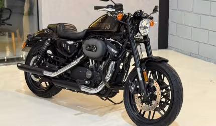Harley-davidson xl 1200 custom xl1200c