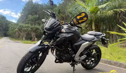 Fz25 250 fazer flex 2022