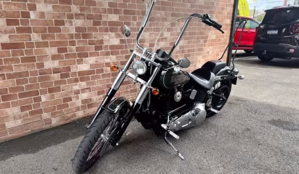 Harley-davidson softail standard fxst 2005