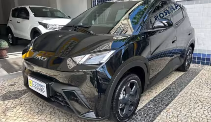 Byd dolphin mini 2025 38 kw elétrico