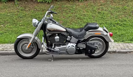 Harley-davidson fat boy flstf 2009