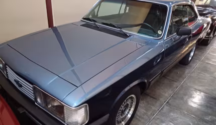 Opala comodoro muito novo