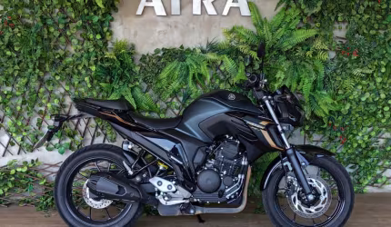Yamaha fz25 250 fazer flex