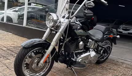 Harley-davidson fat boy flstf 2010