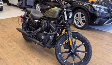 Harley-davidson xl 883n iron 2017