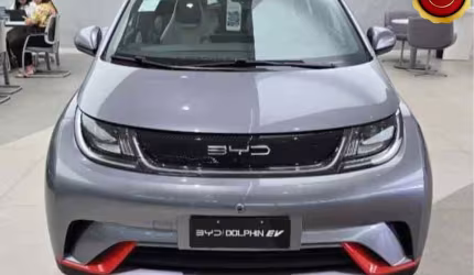 Byd dolphin 2025 44,9 kw elétrico gs