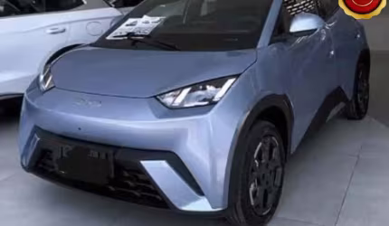 Byd dolphin mini 2025 38 kw elétrico 5l