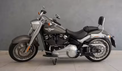 Harley-davidson fat boy boy flfb